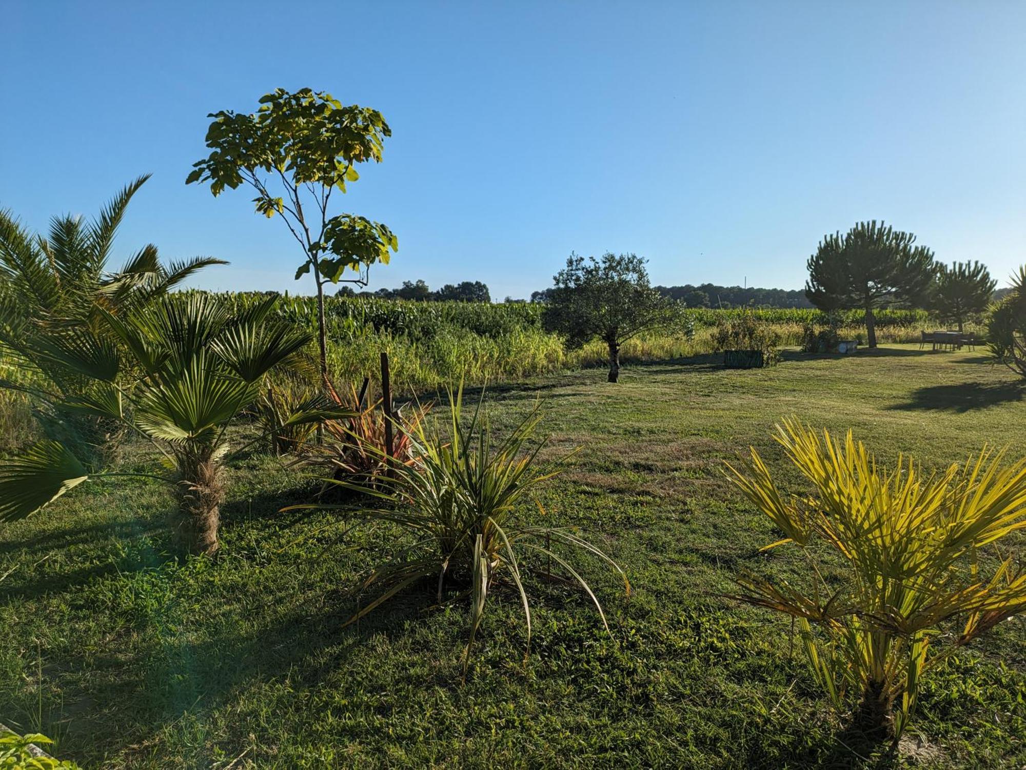 La Grange D'Hardy Villa Soustons Exterior photo