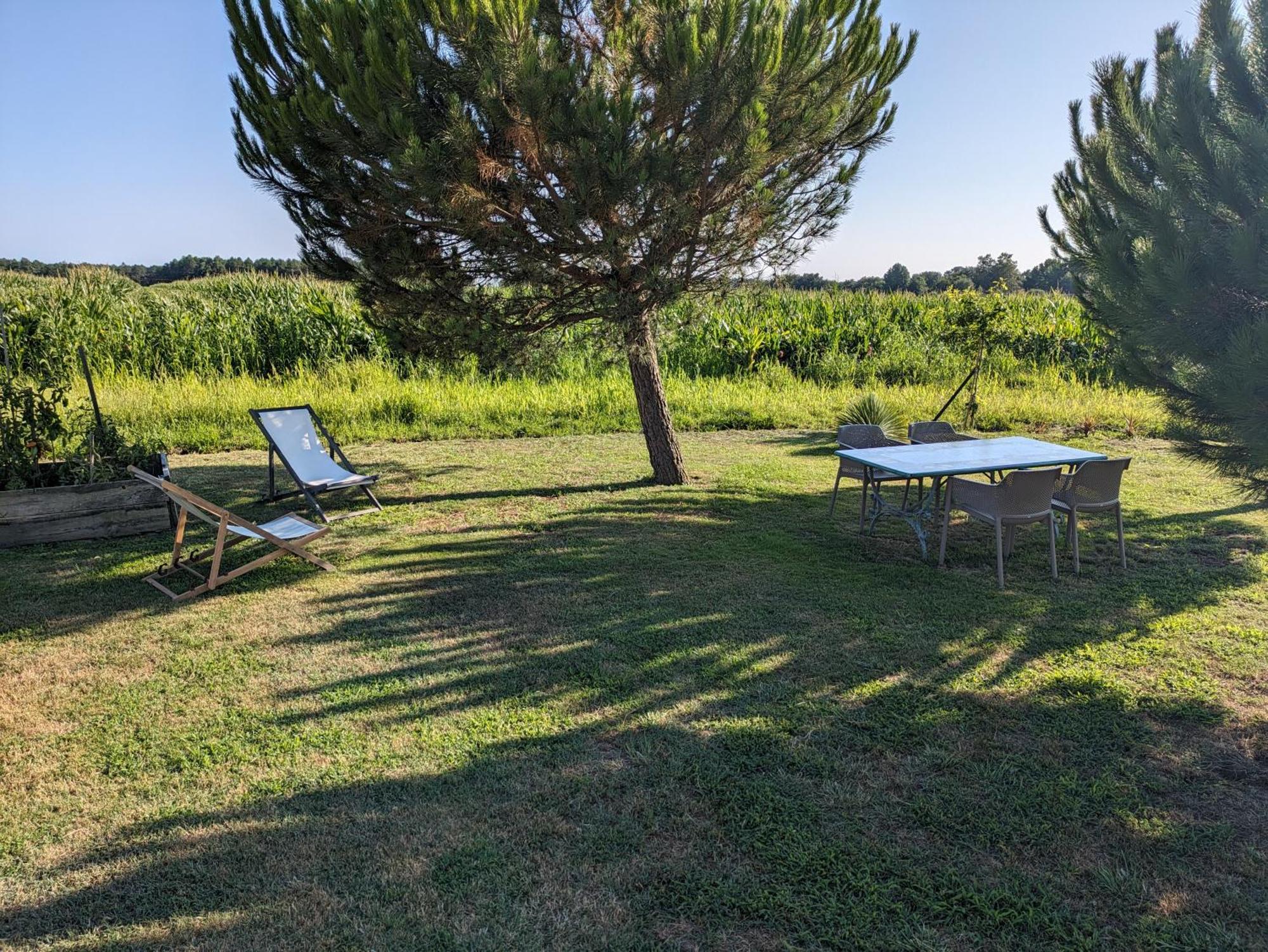 La Grange D'Hardy Villa Soustons Exterior photo